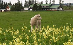 Lesní Bouda